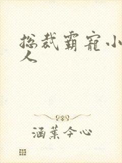 总裁霸宠小小女人