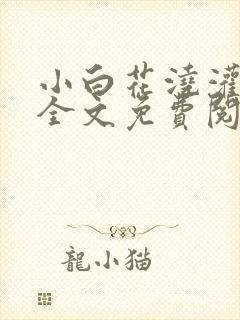 小白花浇灌日常全文免费阅读