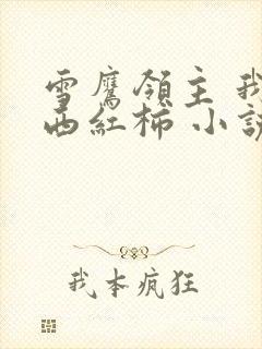 雪鹰领主 我吃西红柿 小说