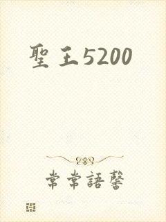 圣王5200