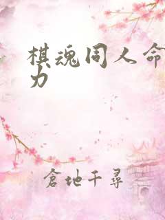 棋魂同人命运之力