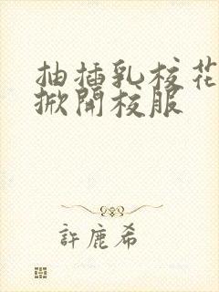 抽插乳校花老师掀开校服