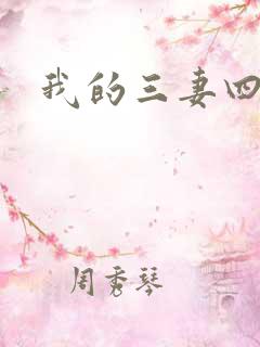 我的三妻四妾