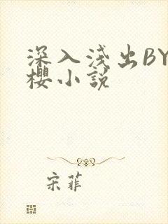 深入浅出BY胖樱小说