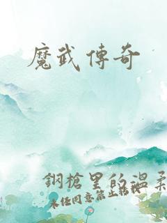 魔武传奇