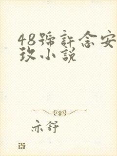 48号许念安穆玫小说