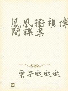 凤凰卫视傅晓田间谍案