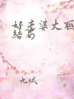 好老婆大联盟大结局