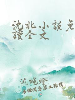 沈北小说免费阅读全文