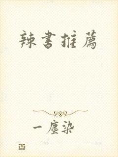 辣书推荐