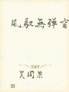 风驭无弹窗