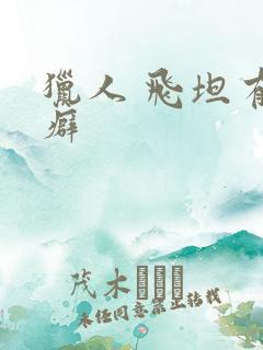 猎人 飞坦有洁癖