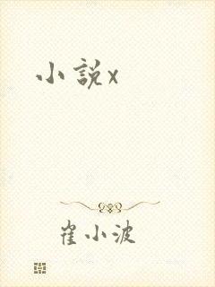 小说x