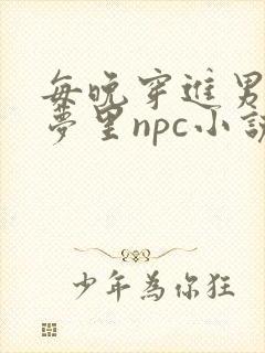 每晚穿进男神的梦里npc小说