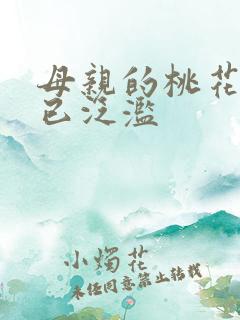 母亲的桃花源早已泛滥