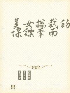 美女总裁的护花保镖李南