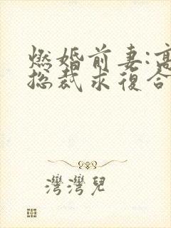 燃婚前妻:高冷总裁求复合