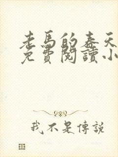 老马的春天全文免费阅读小说