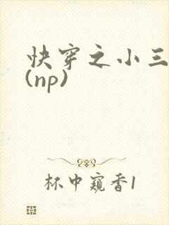 快穿之小三攻略(np)