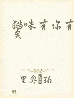 猫咪有你有我足矣