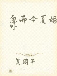忽而今夏婚后番外