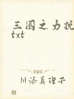 三国之力挽狂澜txt