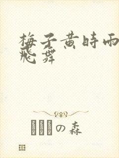 梅子黄时雨流光飞舞