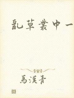 乱草丛中一杆枪