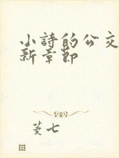 小诗的公交车最新章节