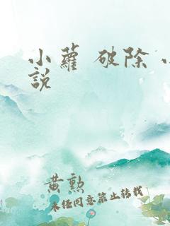 小萝 破除 小说