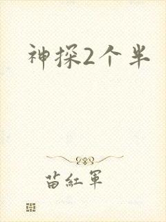 神探2个半