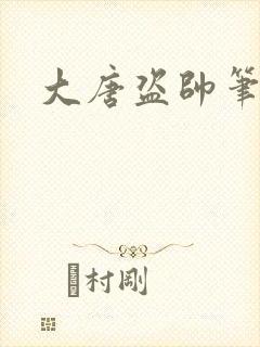 大唐盗帅笔趣阁