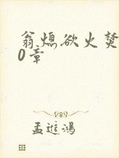 翁熄欲火焚身50章