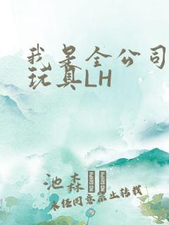 我是全公司发泄玩具LH