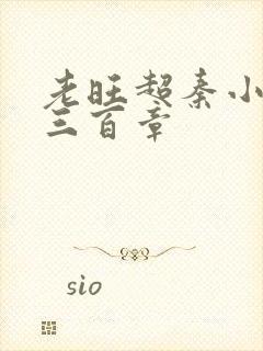 老旺超秦小雨第三百章