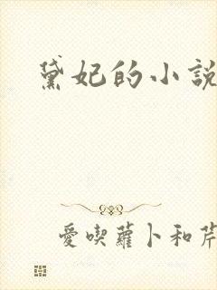 黛妃的小说全文