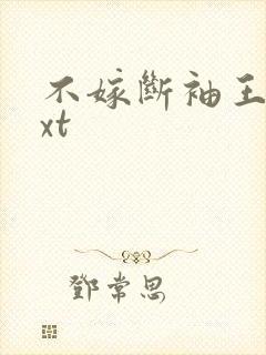 不嫁断袖王爷txt