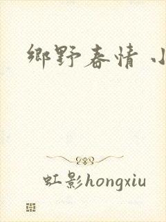 乡野春情 小说