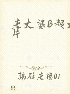 老大婆B超大图片