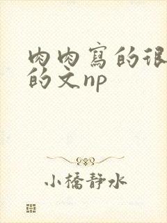 肉肉写的很细致的文np