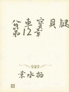 公车宝贝腿开点第12章