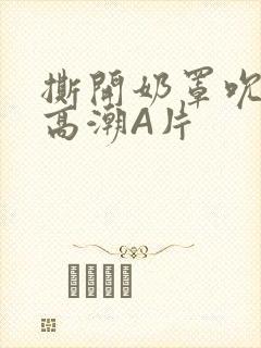 撕开奶罩吮奶头高潮A片