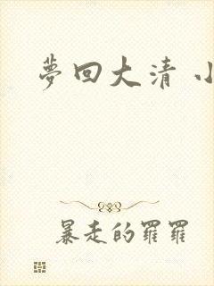 梦回大清 小说
