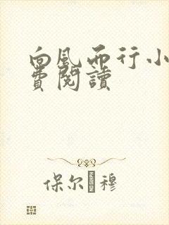 向风而行小说免费阅读