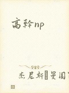 高干np
