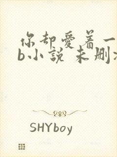 你却爱着一个sb小说 未删减完整版百度云