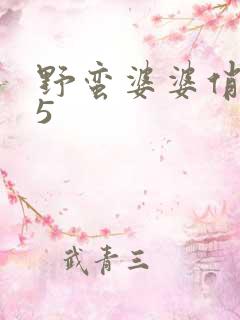 野蛮婆婆俏媳妇5