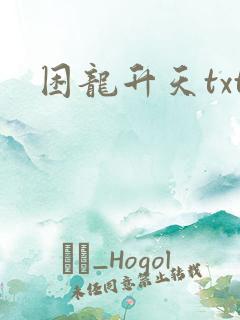 困龙升天txt