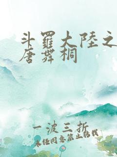 斗罗大陆之肉奴唐舞桐