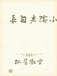 长日光阴小说
